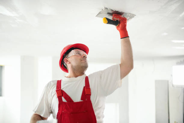 Best Ceiling Drywall Installation  in Yorba Linda, CA